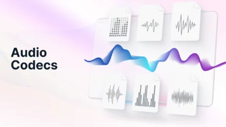 Codec âm thanh là gì ? Giải thích đơn giản cho người mới